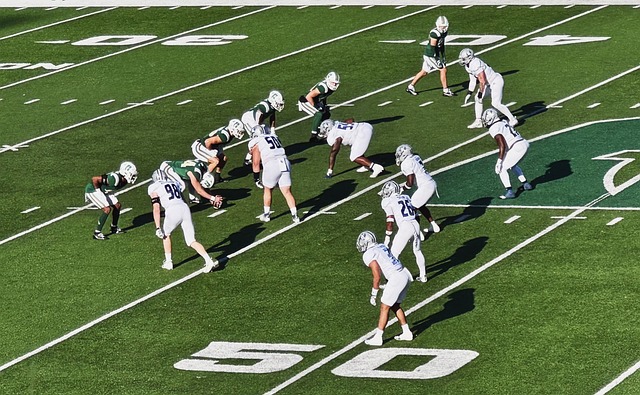 季的缩影 季的缩影