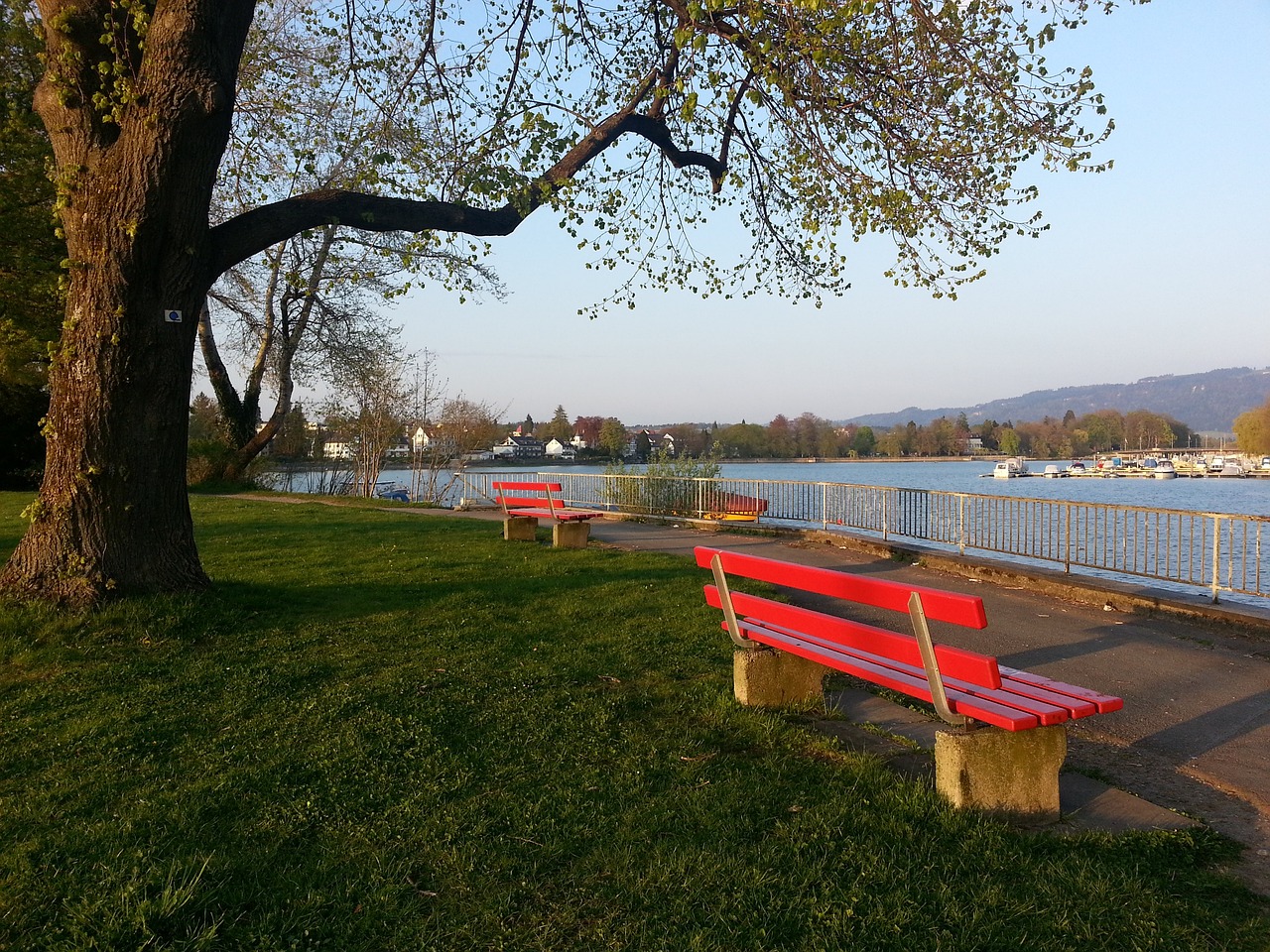 更进一步增 更进一步增